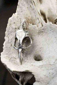 by bird skulls